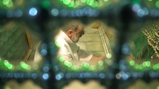 در سوگ سید دلها