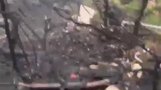 اولین فیلم پیدا شدن بالگرد حامل آیت الله رئیسی و همراهان