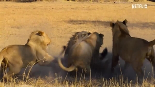 دانلود مستند بهشت نجات Surviving Paradise 2022