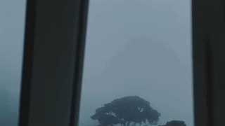 اینجا گوشه ای از سیاره 313....