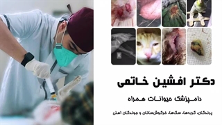 دکتر افشین خاتمی در کرج کربوکسی تراپی