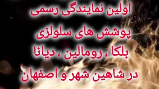 دکوراسیون ناصر در شاهین شهر 09901632003