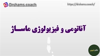 آناتومی و فیزیولوژی ماساژ