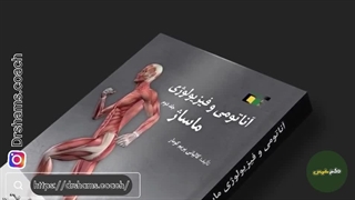 آناتومی‌ و فیزیولوژی ماساژ چیست؟