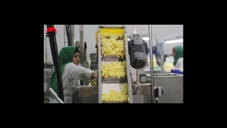 راه اندازی خط تولید فرنچ فرایز سیب زمینی | توسط زامکو