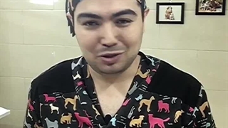 نزدیک ترین دامپزشکی  دامپزشکی در کرج