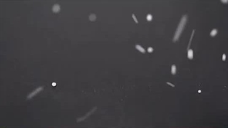 ایزومالت خوراکی چیست