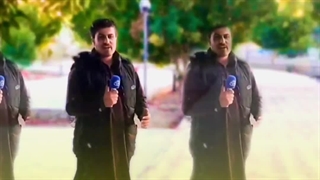 وقتی شکوفه ها نشکفته تلف شده اند ، یعنی به باد رفته همه باغ بانی ام