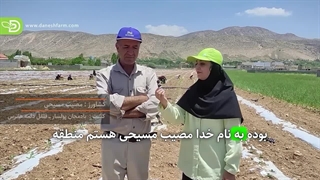 فلفل دلمه هانرس و بادمجان پولسار