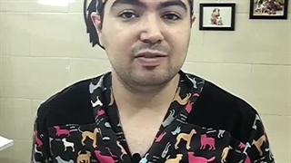 نزدیک ترین دامپزشکی در کرج | دامپزشکی کرج