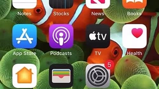 اسکن منو رستوران با گوشی آیفون