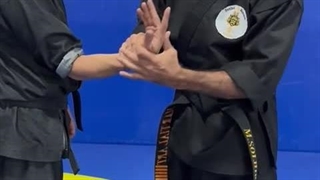 نینجاهای تهران