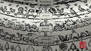 آیا انسان تنها گونه ی جانوری است که مبتنی بر هوش، قدرت تفکر دارد؟