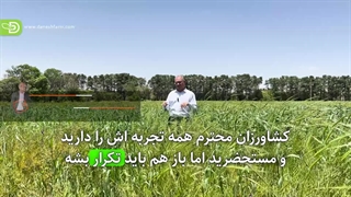 اهمیت مدیریت اصولی علف های هرز