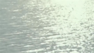 یه تنه همه رو برده بود زیر سوال:خنده: