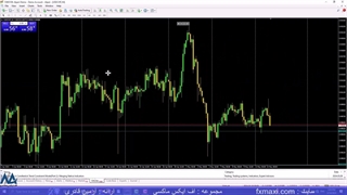 استراتژی بر اساس حجم ترید طلا – آموزش استراتژی باینری مکدی | ویدئو شماره 367