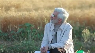 دکتر سعید جلیلی پالپوتومی