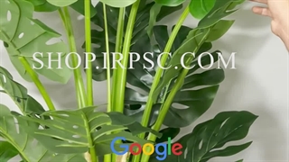 خرید درختچه مصنوعی برگ انجیری | فروشگاه ملی