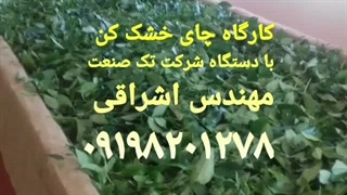 دستگاه خشک کن چای