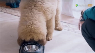 قسمت 28 سریال چینی به نور ستاره نگاه کنید (2020 Look Up There’s Starlight) با زیرنویس فارسی