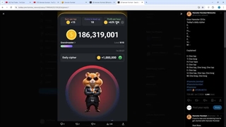 اطلاعیه فوری همستر کامبت سکه هامون دیگه جمع نکنیم __ پروفیت مهم تره یا سکه ؟