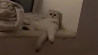 نما زیادی خلوت نیست؟ حوصلم سر رفته :/