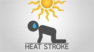 با این نکات خیلی فوری گرمازدگی را درمان کن/ پیشگیری و درمان گرمازدگی با روش‌های طبیعی و فوری