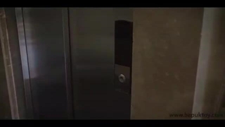 معرفی شرکت باپوک توی