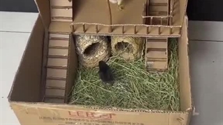 واقعا کیف کردمم،