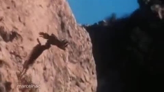 شکار آهو توسط عقاب