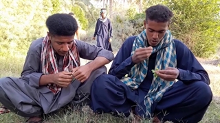 کلیپ جدید دزدی درباغ انگور