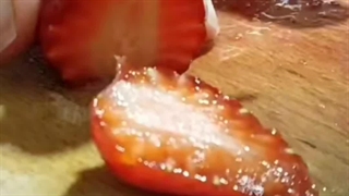 خشک کردن توت فرنگی در منزل با دستگاه خشک کن میوه و سبزی