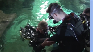 کلیپ خدمات شهری