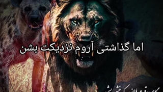 گاهی وقت ها لازمه که ، خشن بشی