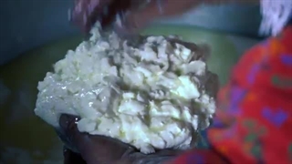 دامداری و ساخت پنیر گوسفندی عشایر تالش-زندگی روستایی