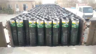 ایزوگام صادراتی بردین