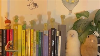 ایده پوستر برای اتاق