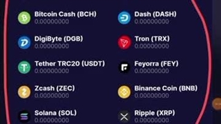 کسب درآمد دلاری | کیف پول فاست پی اموزش رایگان ساخت