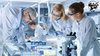 شیوع باکتری گوشتخوار