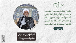 امیرالمؤمنین«علیه السلام»، جان پیامبر اکرم««صلی‌الله علیه و آله»