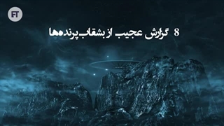 گزارش های عجیب از مواجهه با بشقاب پرنده ها