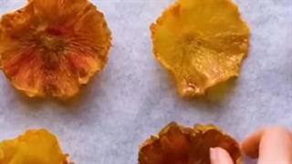 دستگاه خشک کن انبه و انااناس و میوه ها استوایی