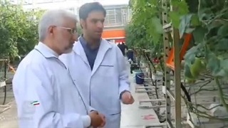 دولت در سایه چیست؟