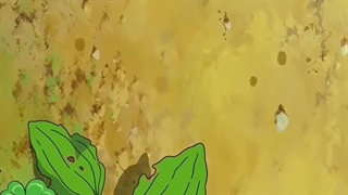 اینطور نیست؟