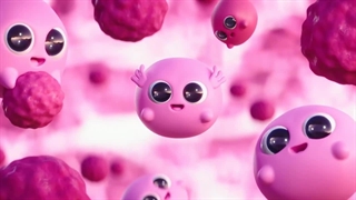 انیمیشن کوتاه پیش بسوی سرزمین نازنازی ها دوبله فارسی با صدای یاسر حقایق امین