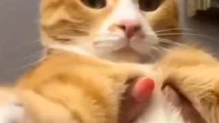 وبسایتتون مثل بچه تونه؟؟