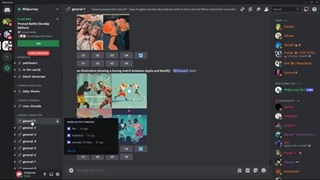 سازماندهی و خصوصی سازی میدجورنی