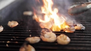Discover Top Commercial Gas Grills Today | Flagler County