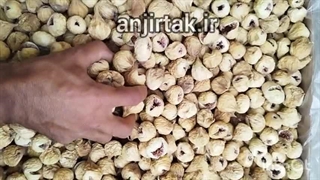 قیمت انجیر صد یک درشت انجیرتک