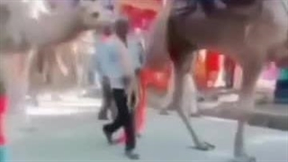 بدون شرح !